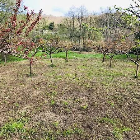 Appartement Borgo San Pietro *